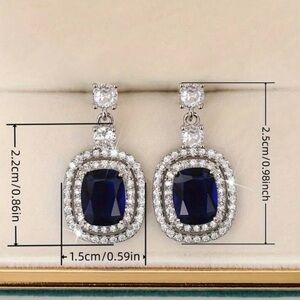 Elegant Blue and Silver Earrings